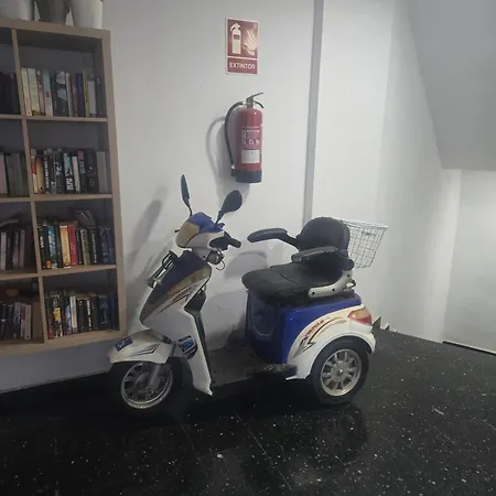 Loft Dreams Koka Apartament