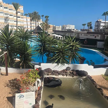 Apartament Loft Dreams Koka *